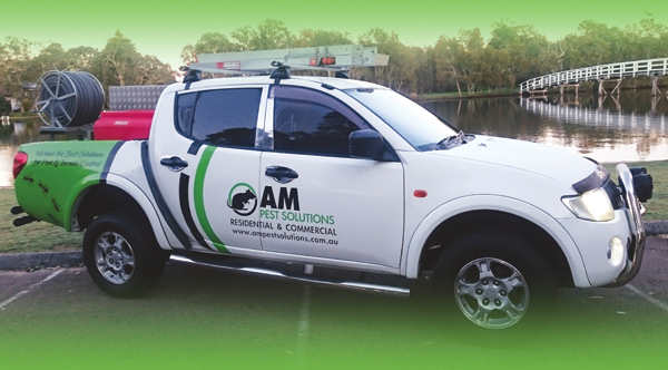 AM Pest Solutions Budgewoi