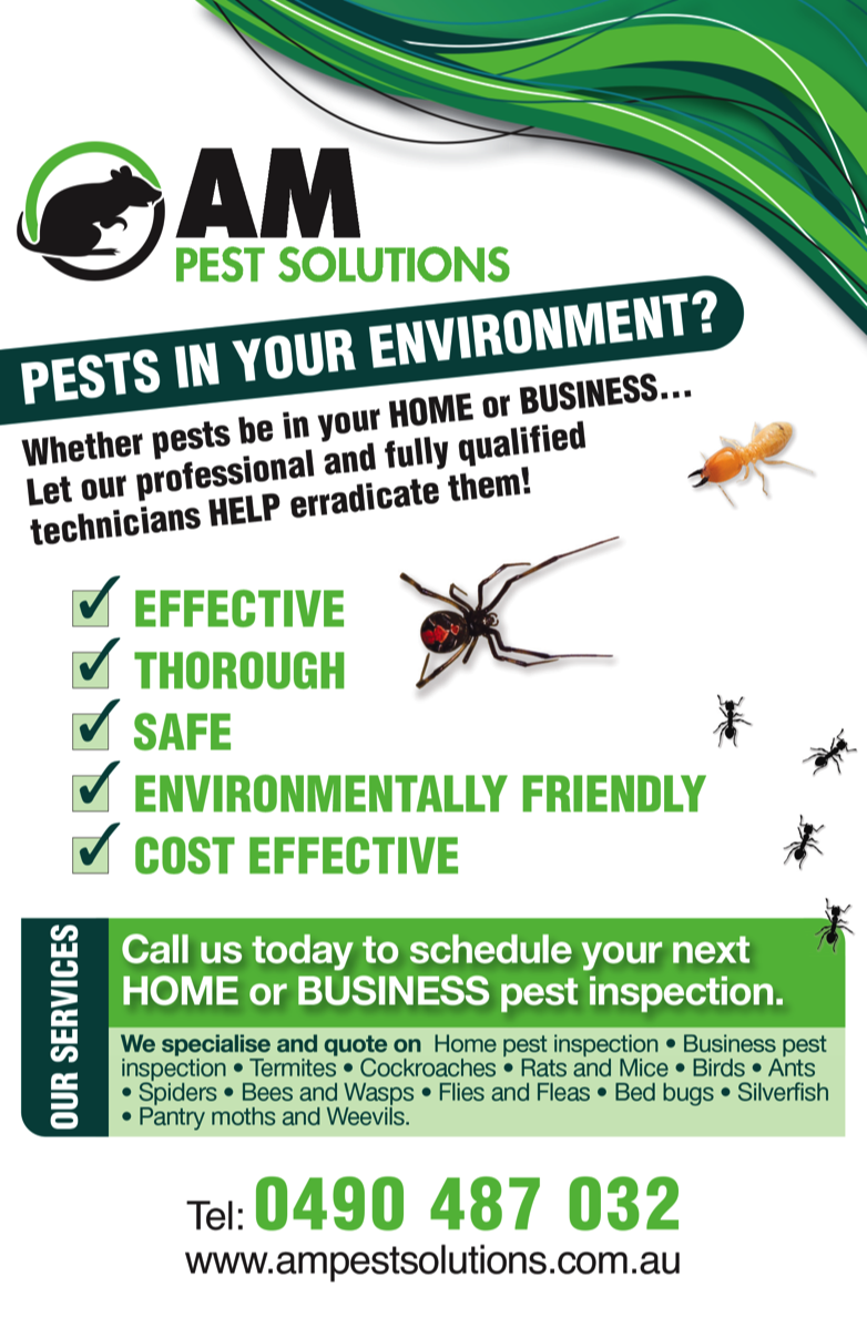 pest control budgewoi