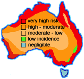 termite map central coast