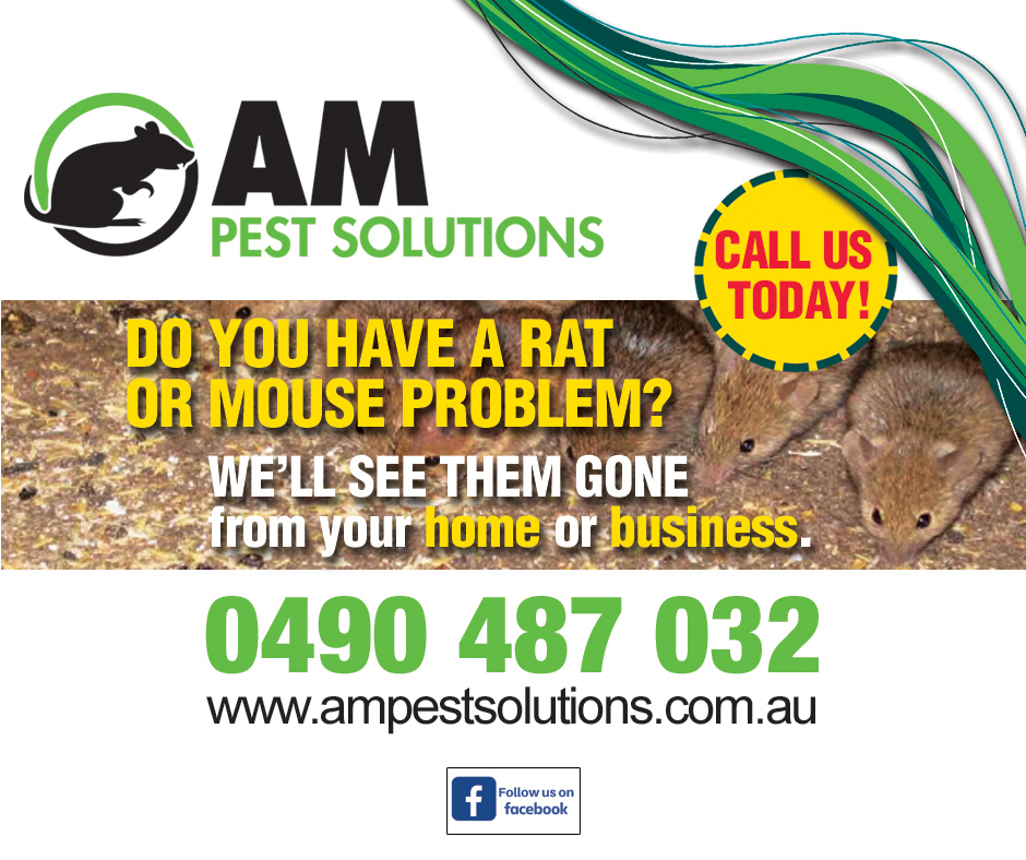 termite control central coast